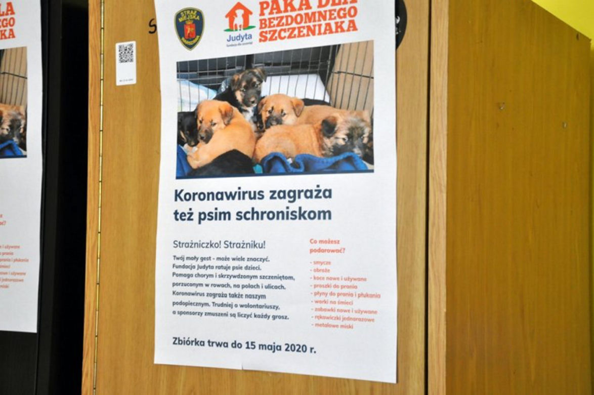 paczka dla bezdomnego szczeniaka