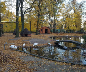 Park 1000-lecia w Lesznie na chwilę przed zachodem słońca