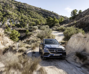 Mercedes-Benz GLS (2020) AMG Line