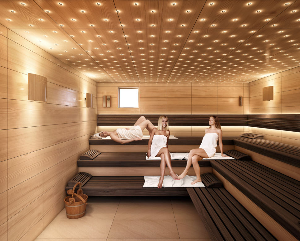 Biosauna wizualizacja