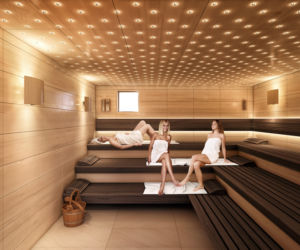 Biosauna wizualizacja