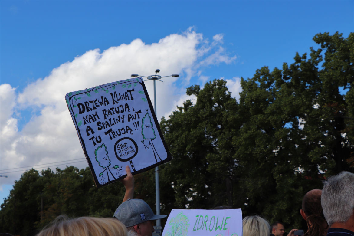 Wielki protest w Toruniu. Mieszkańcy mówią #stopBETONOZIE