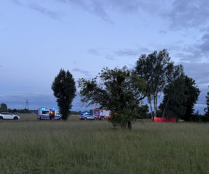 Śmiertelny wypadek pod Warszawą. Ford rozbił się na drzewie