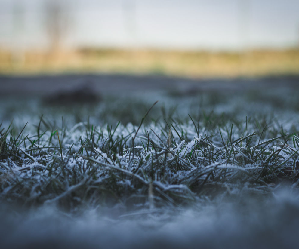 Słoneczny poniedziałek, ale z przymrozkami. Przyjemne Walentynki [Pogoda Toruń 14.02.2022]