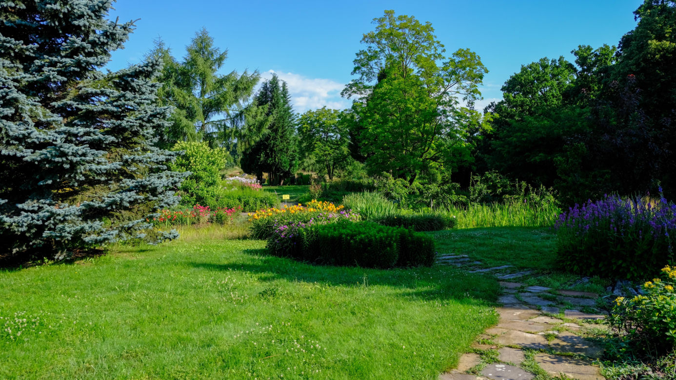 Ogród Botaniczny PAN w Powsinie