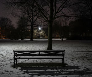 Cisza w Sylwestra. Dlaczego warszawscy radni i ZOO apelują o rezygnację z petard?