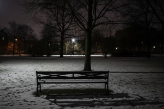 Cisza w Sylwestra. Dlaczego warszawscy radni i ZOO apelują o rezygnację z petard?