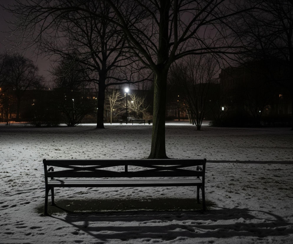 Na pierwszym planie widoczna jest ciemna ławka, pokryta lekką warstwą śniegu, stojąca na zaśnieżonym trawniku w parku. Centralna część trawnika jest oświetlona przez lampy uliczne, tworząc jasną plamę na ciemnym tle. Wokół rozpościerają się liczne bezlistne drzewa i krzewy, ich nagie gałęzie rysują się ciemnymi sylwetkami na tle szarego nieba. W oddali, po lewej stronie, widać fragment budynku z kilkoma świecącymi oknami.