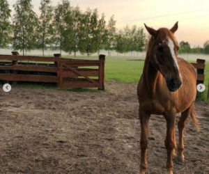 Katarzyna Dowbor, Rodezja