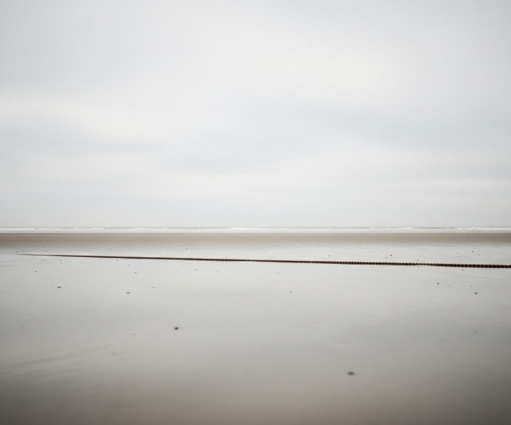 Na pierwszym planie, w centrum, leży długi, ciemnobrązowy sznur lub lina, rozciągająca się poziomo przez mokry, piaszczysty brzeg, od lewej do prawej krawędzi obrazu. Po lewej stronie lina wchodzi w piasek, a po prawej jest zawiązana w złożony, nieregularny węzeł. Powierzchnia piasku jest błyszcząca i odbija szare światło nieba, z rzadko rozsianymi ciemnymi plamkami. W tle widoczny jest ocean z delikatnymi falami rozbijającymi się o brzeg, a nad nim rozciąga się jasne, zachmurzone niebo, dominujące górną połowę kadru.