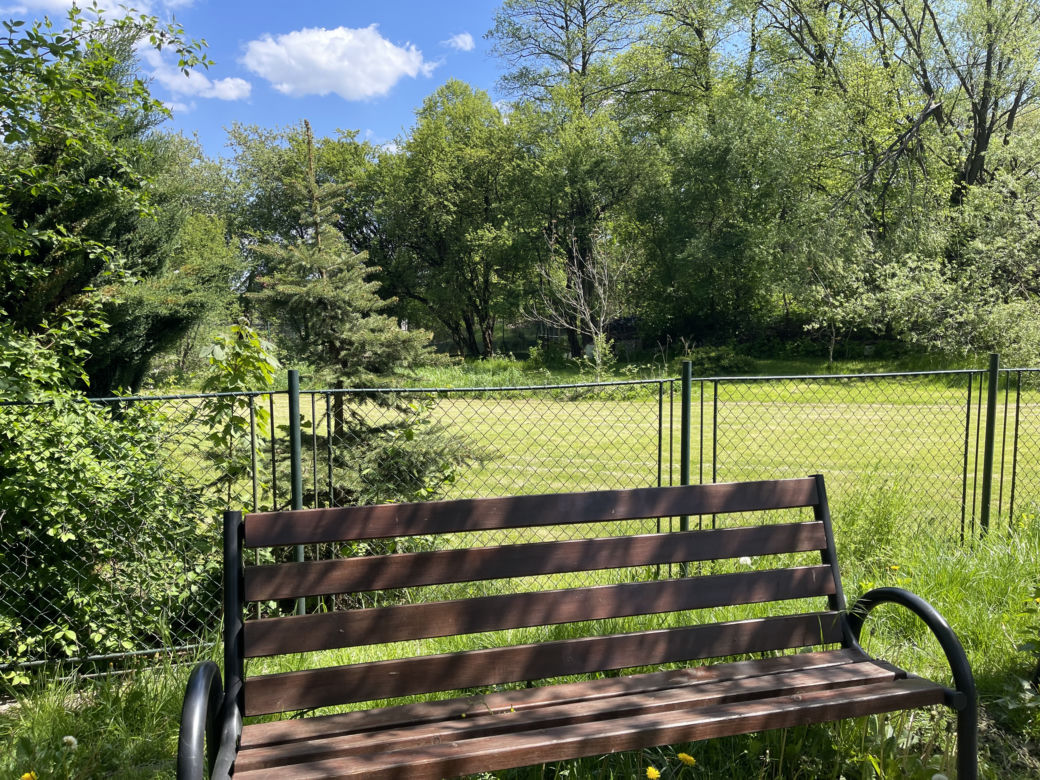 Kraków ma najdłuższy park w Polsce. Poznajcie Młynówkę Królewską! 