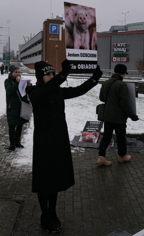 W Grudziądzu manifestowali aktywiści na rzecz zwierząt