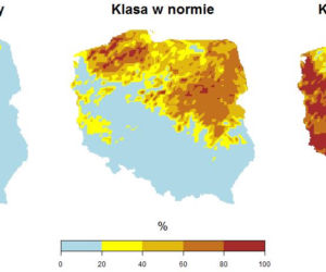 Pogoda na sierpień 2020: Długoterminowa prognoza pogody