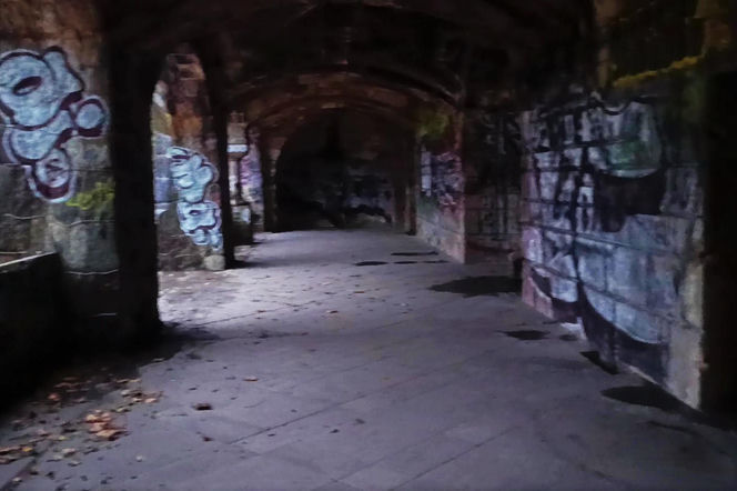 Teren wokół Wieży Quistorpa został uporządkowany