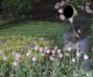 Nocne imprezowanie w Rybniku. Pijana młodzież wspinała się na pomnik, zrywała tulipany i... sikała na budynki [ZDJĘCIA]