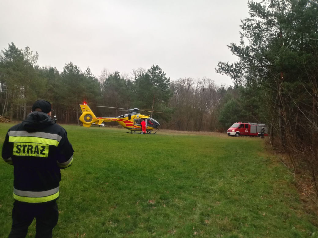 33-latek rozbił się na drzewie