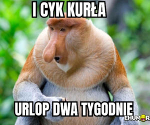 Urlop: memy