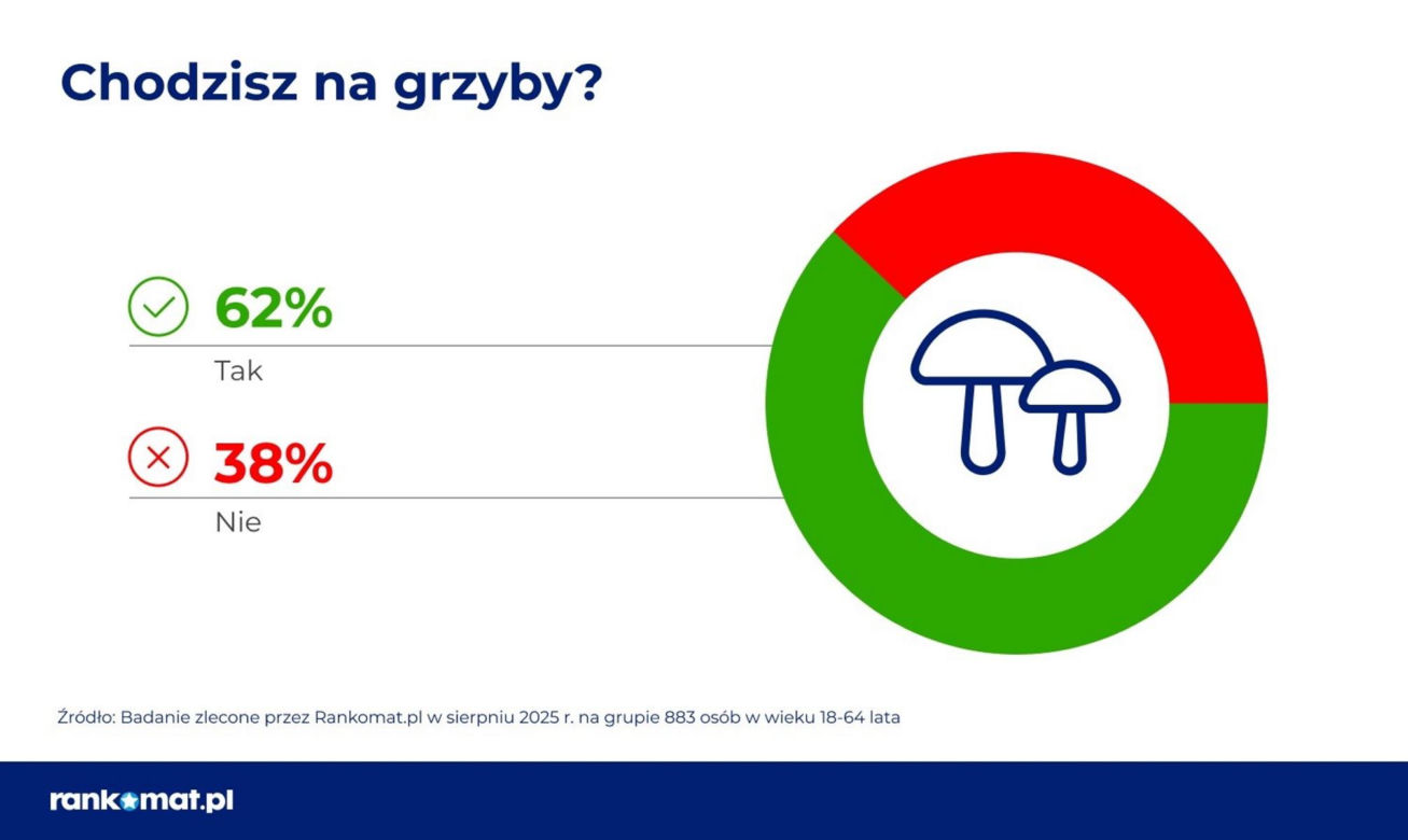 Czy Polacy chodzą na grzyby?