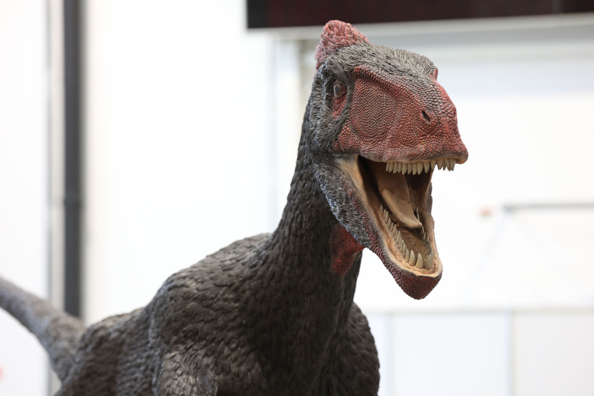 ZooPark 2023 w Lublinie przyciągnął tłumy!
