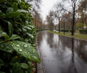 Deszczowy początek i koniec weekendu w Gdańsku. Prognoza zapowiada jeden dzień przerwy
