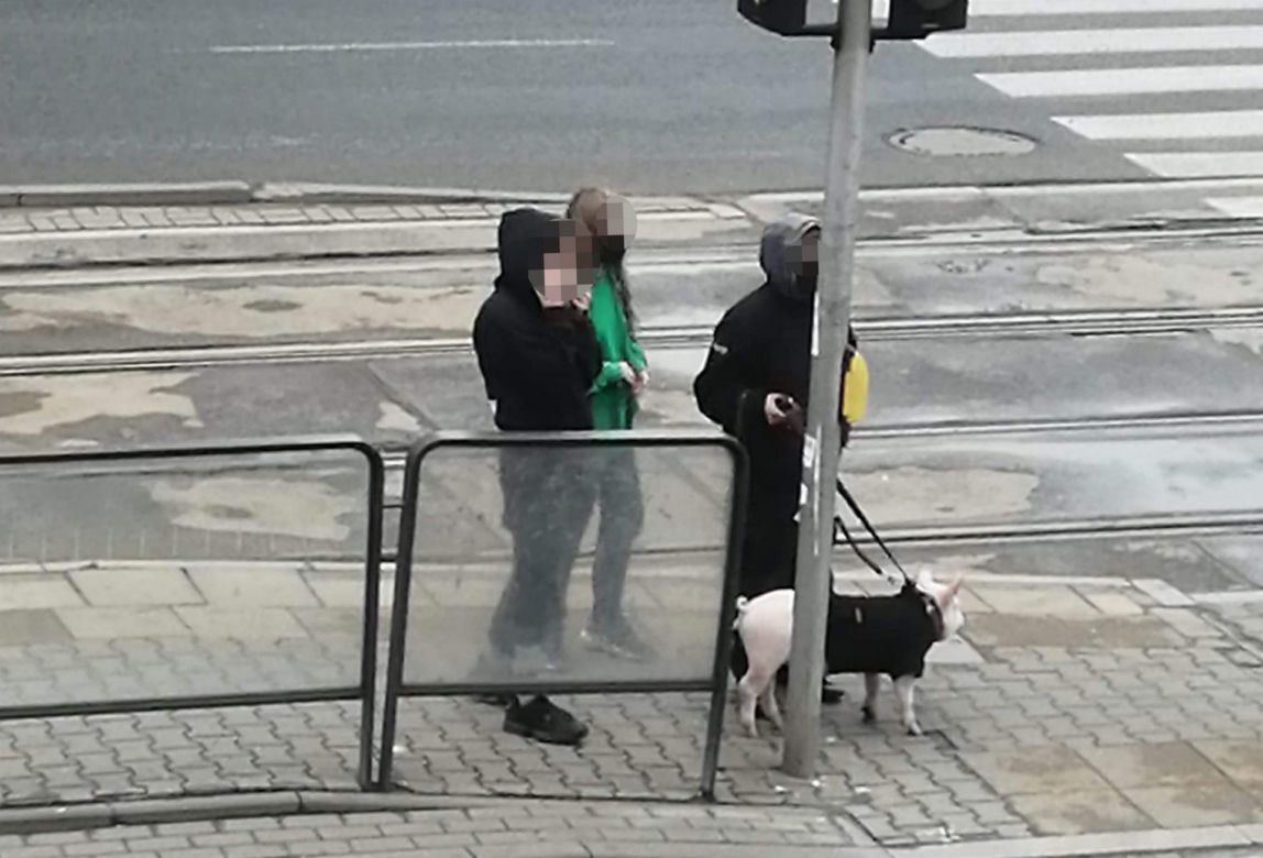 Złodziej osatni raz widziany był w okolicy kina Femina
