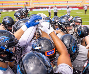 Panthers Wrocław podejmują na własnym terenie drużynę Hamburg Sea Devils