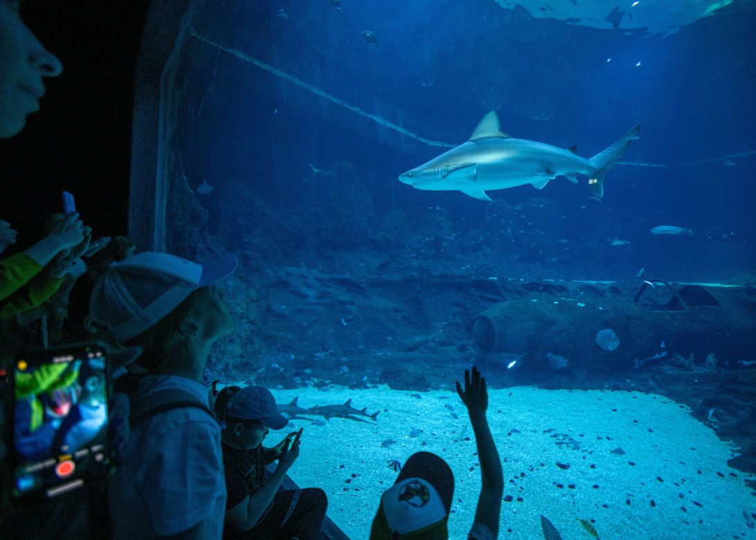 Orientarium Łódź ZOO