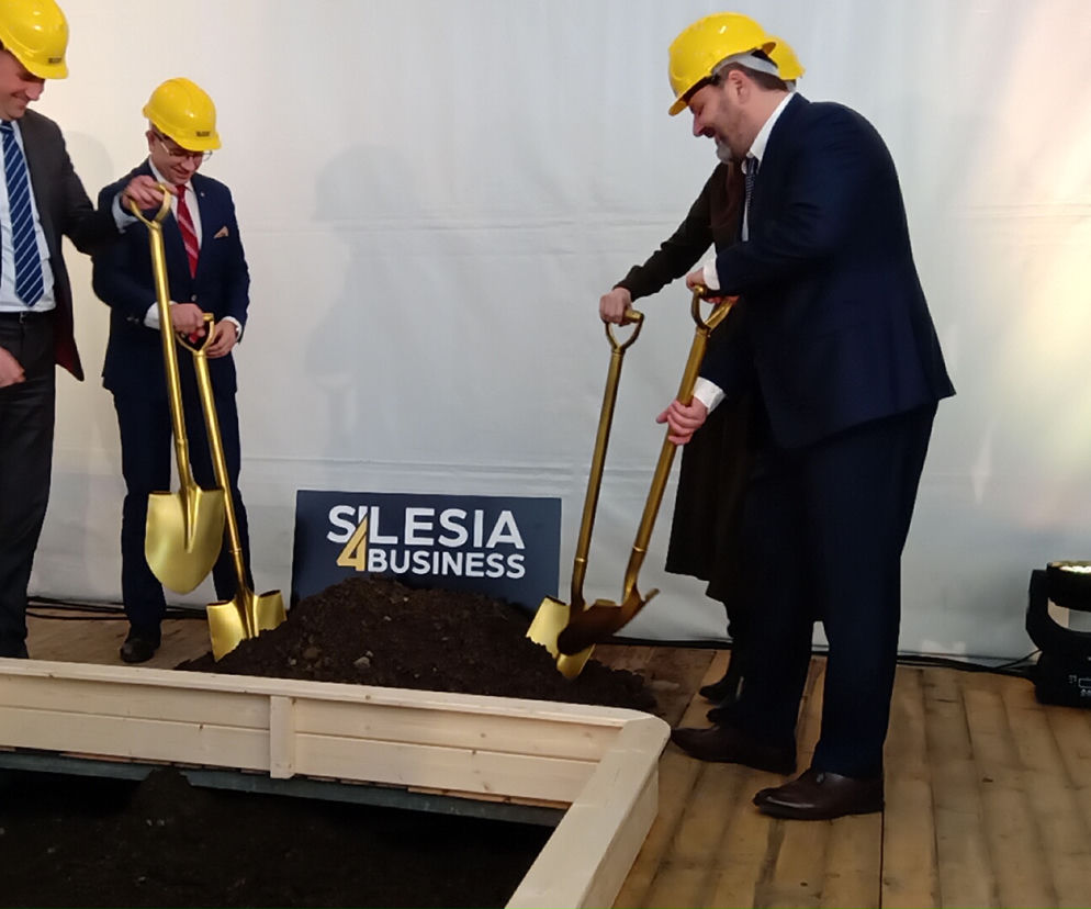 Silesia for Business