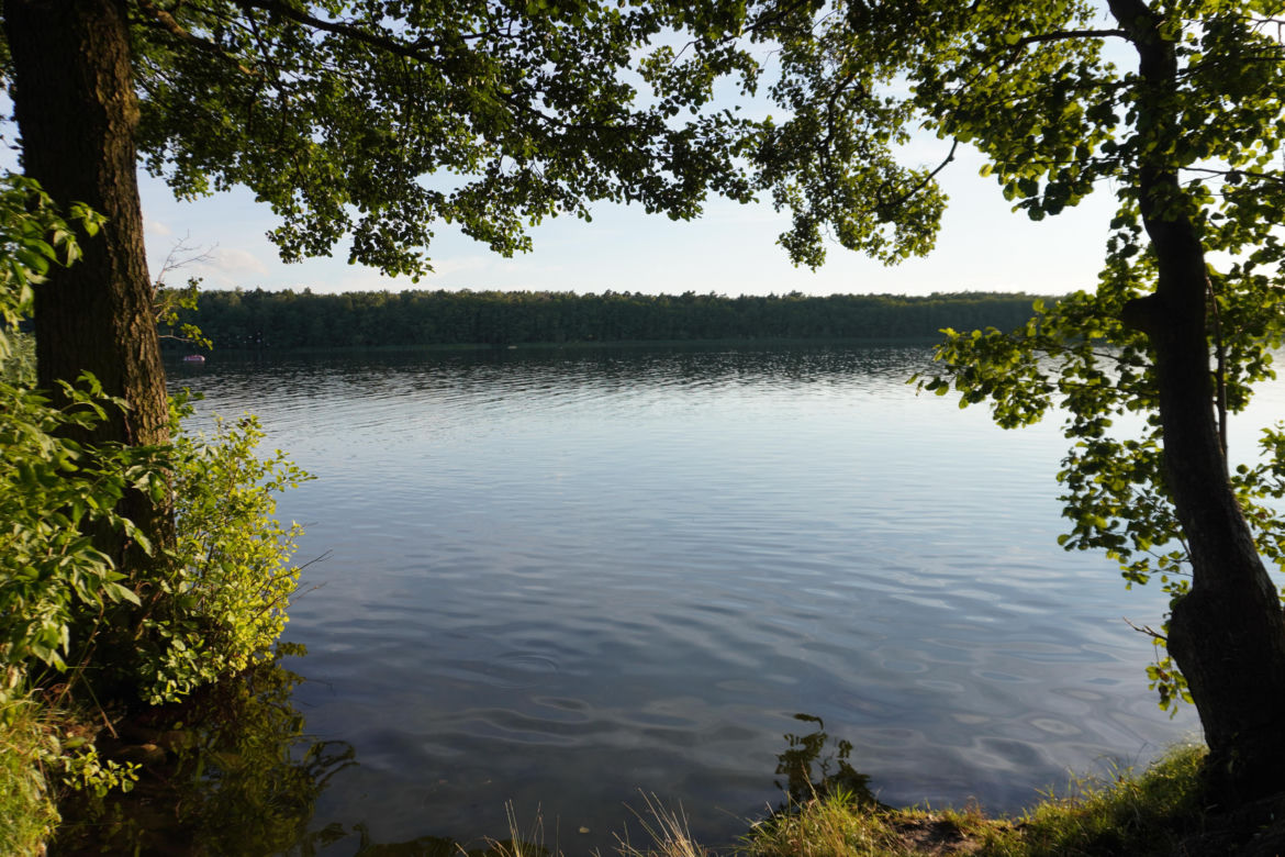 Jezioro Strzeszyńskie