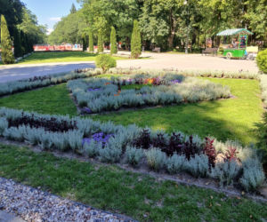 Przebudowa parku Planty w Białymstoku
