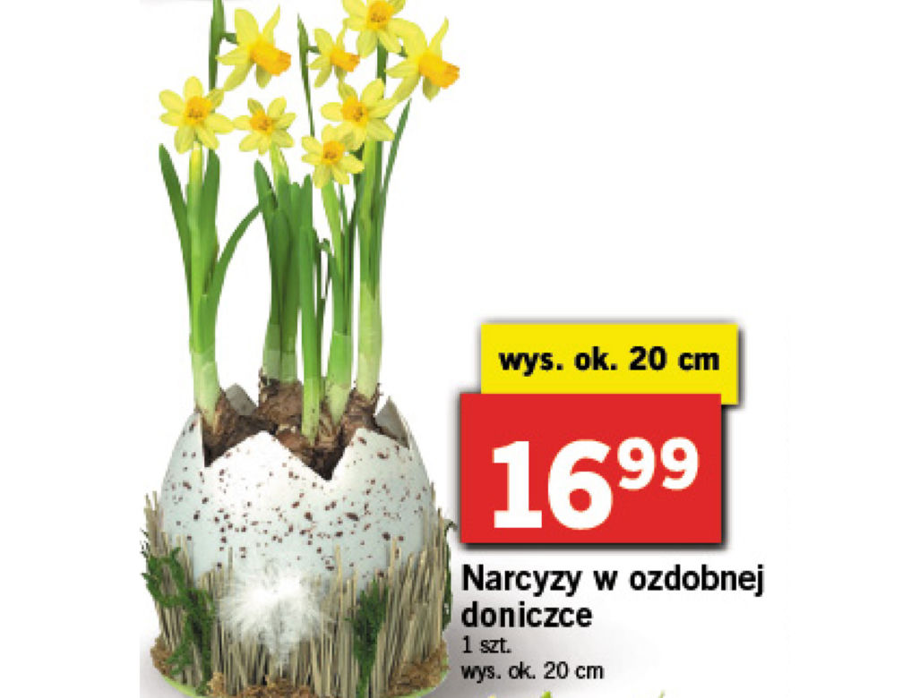 Wielkanocne promocje w Lidlu