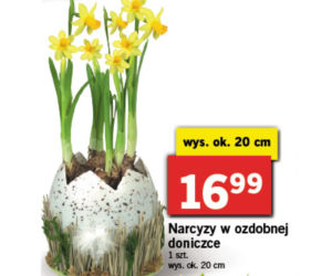 Wielkanocne promocje w Lidlu