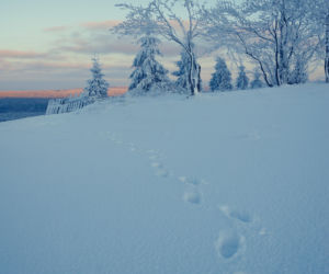Sezon narciarski wystartował w Zieleńcu na dobre