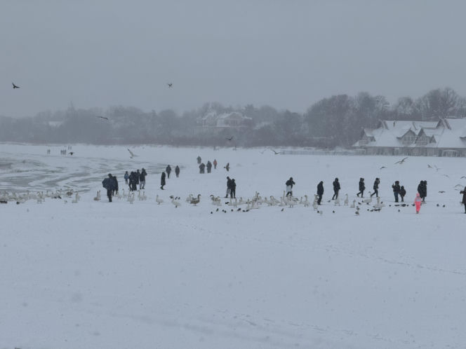 Bałtyk zimową porą, uchwycony w kadrach