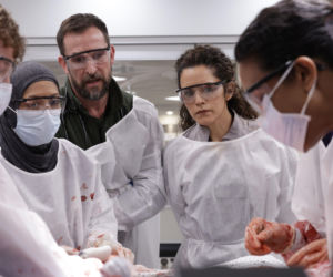 The Pitt: ile odcinków liczy 2. sezon i kiedy premiera finału? (ROZPISKA)