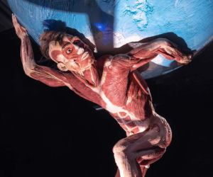 Body Worlds