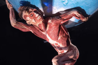 Body Worlds