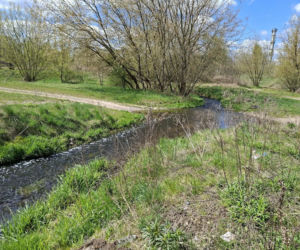 Nieznana substancja w rzece Kamiennej