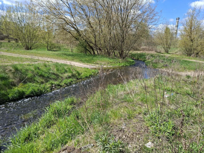 Nieznana substancja w rzece Kamiennej