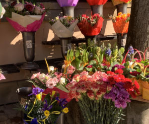 Czerwone czy różowe, róże czy goździki? Które kwiaty wybrać i dla kogo