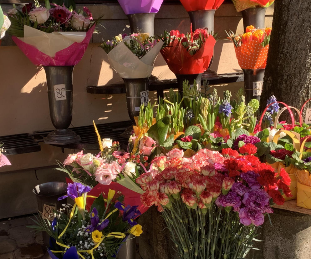 Czerwone czy różowe, róże czy goździki? Które kwiaty wybrać i dla kogo