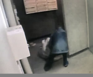 Młody chuligan skatował siedemdziesięcioletnią mieszkankę Będzina