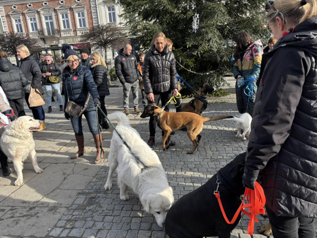 Finał WOŚP w Nowym Sączu 