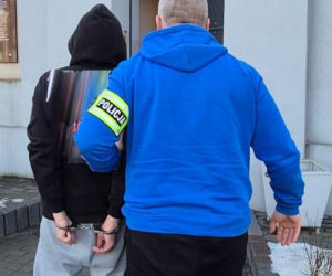 Okradali domy w Małopolsce, gdy mieszkańcy byli w środku. Para złodziei w rękach policji