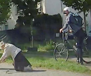 Rowerzysta pchnął 80-latkę na chodnik! Awantura na ścieżce rowerowej