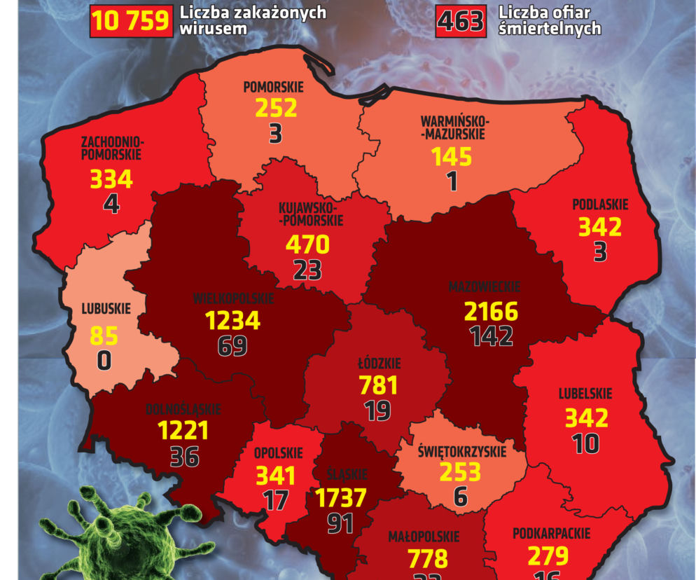 Koronawirus 24.04.2020 r, godz. 10. Zobacz aktualne wykresy i dane!