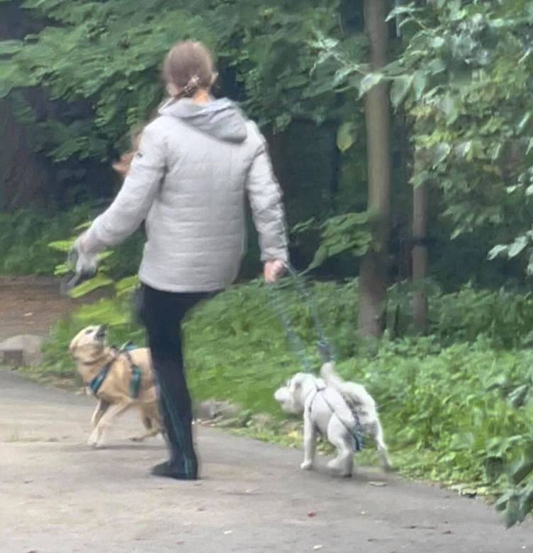 Bestialsko znęcała się nad psami. Po kopnięciu, zwierze wydało głośny pisk
