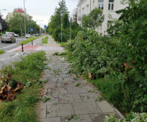 Fatalne skutki burzy w Warszawie