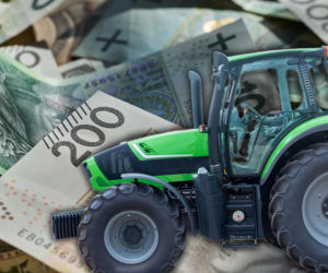 Tajemnicza śmierć rolnika i gigantyczny spór o majątek! Miliony w rękach gangstera