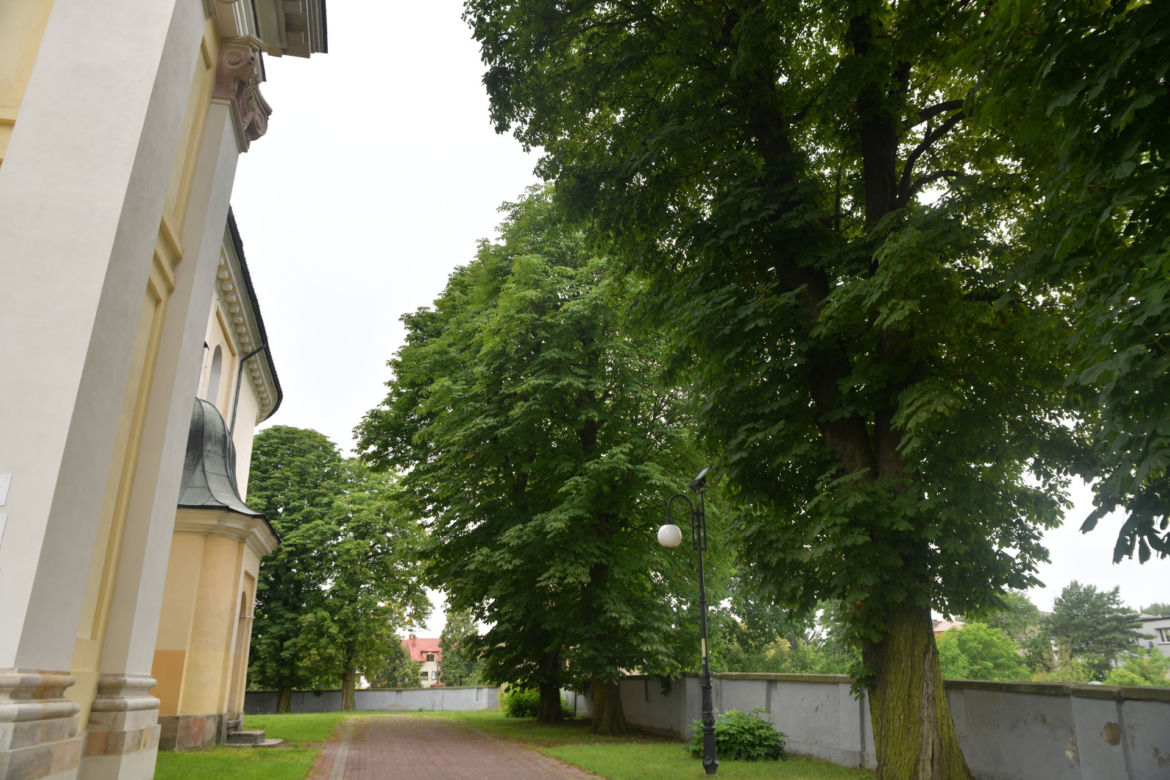 Szokująca decyzja proboszcza. Wyciął 150-letnie kasztanowce. Mieszkańcy pytają, czy to żart?